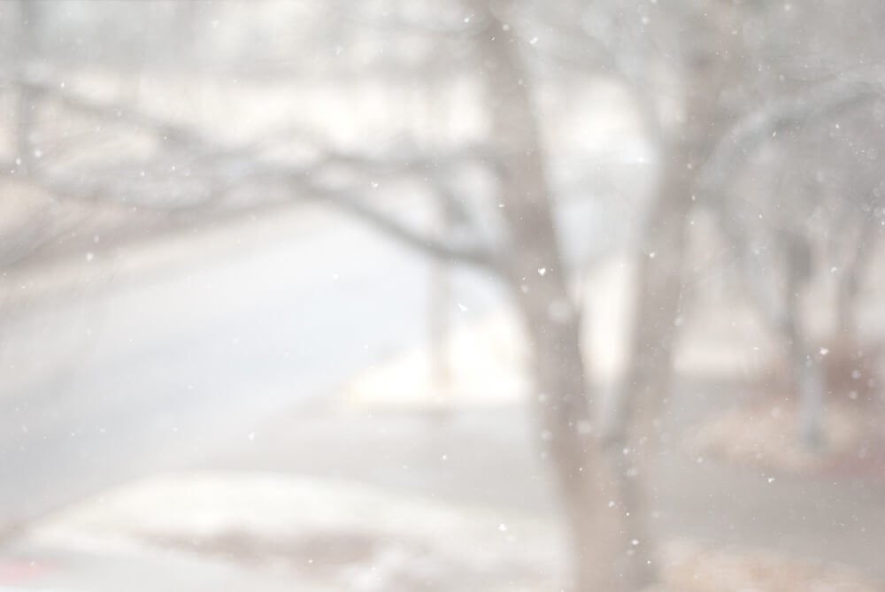 snow-from-my-window snow from my window