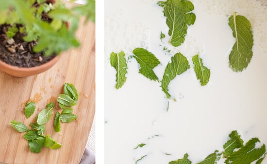 fresh spearmint and cream fresh spearmint and cream