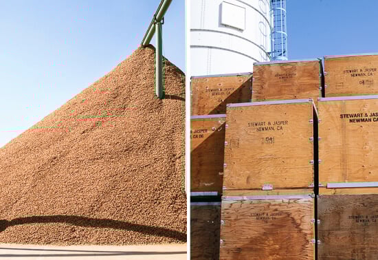 almond processing facility